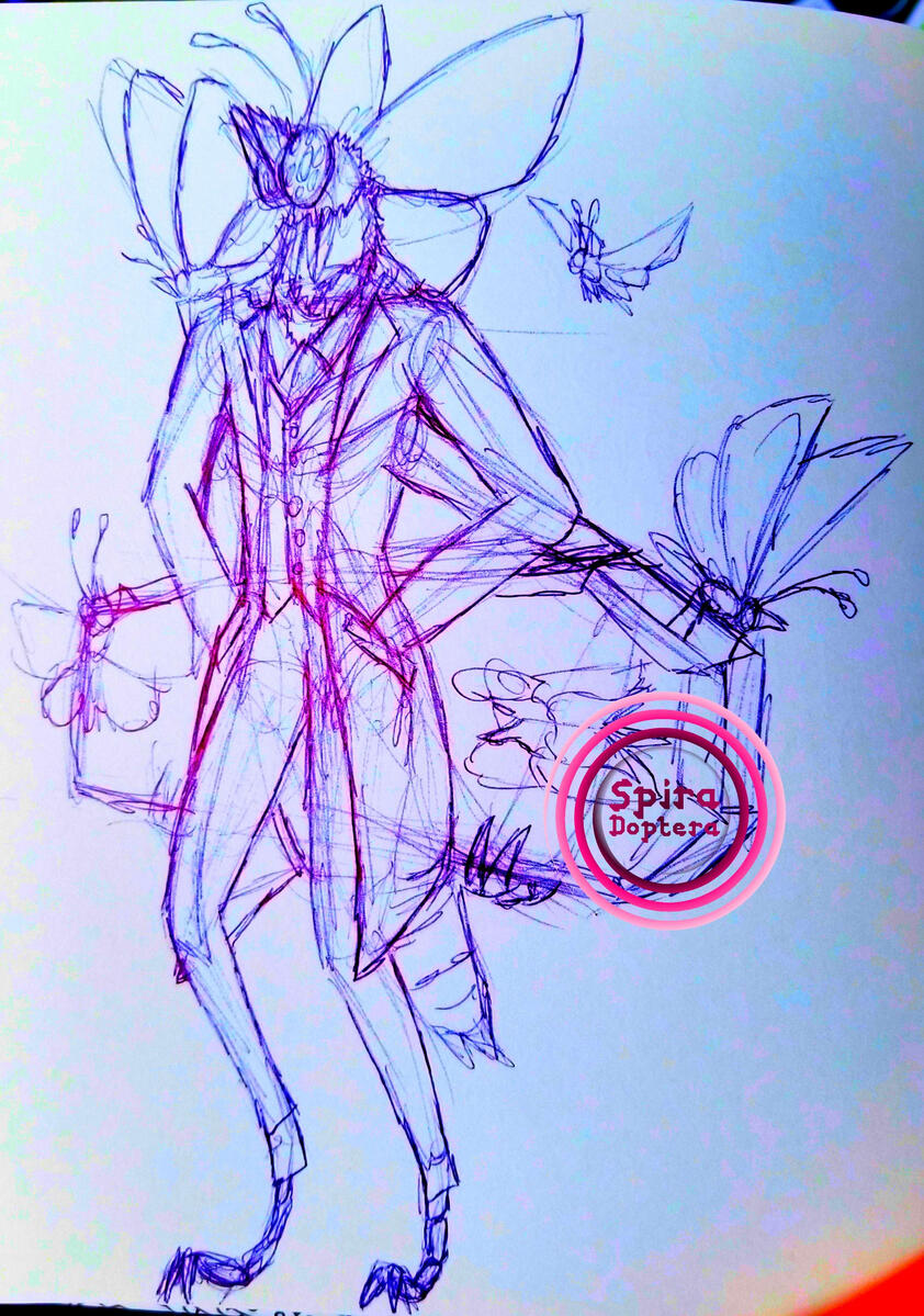 Anatomy Reference
