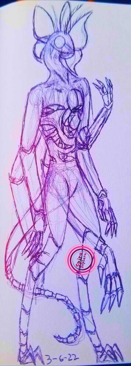 Anatomy Reference